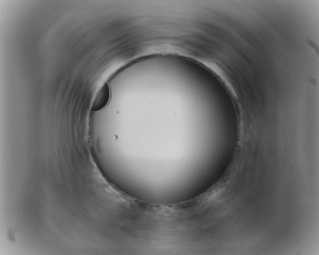 X0000103310815200809122050