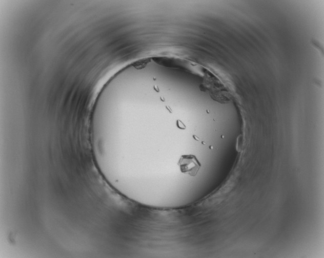 X0000103310816200809122050