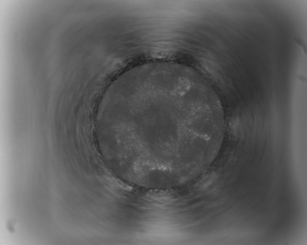 X0000103310817200809122049