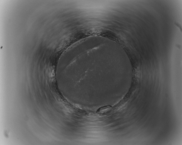 X0000103310818200809122049