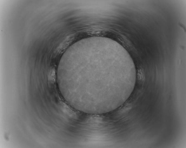 X0000103310820200809122049