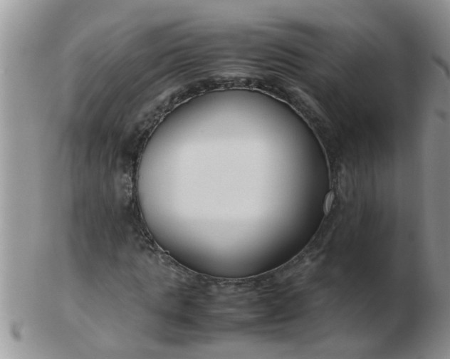 X0000103310821200809122049