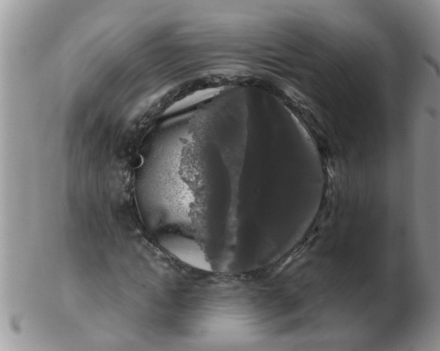 X0000103310822200809122049