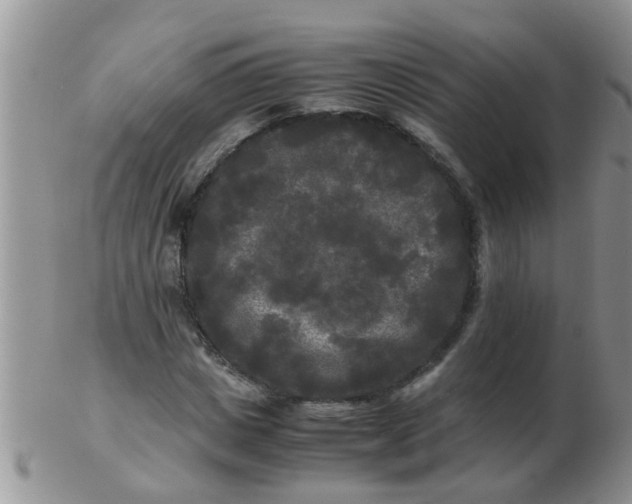 X0000103310825200809122049