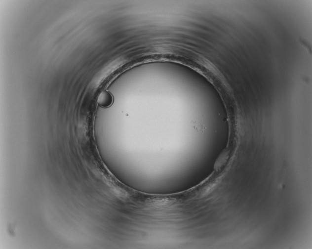 X0000103310826200809122049