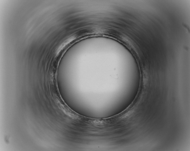 X0000103310827200809122049