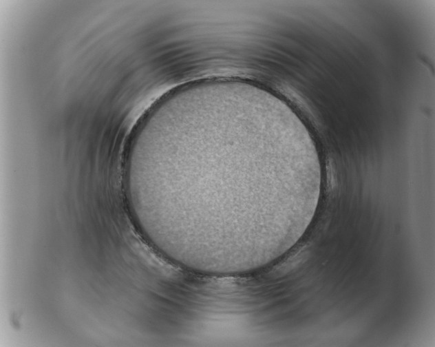 X0000103310828200809122049