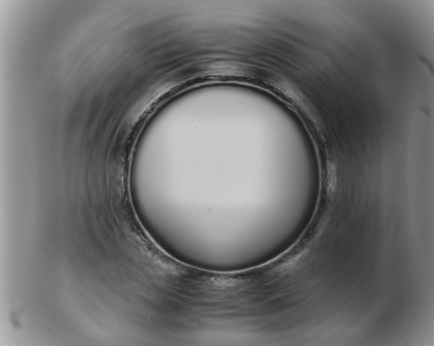 X0000103310829200809122050