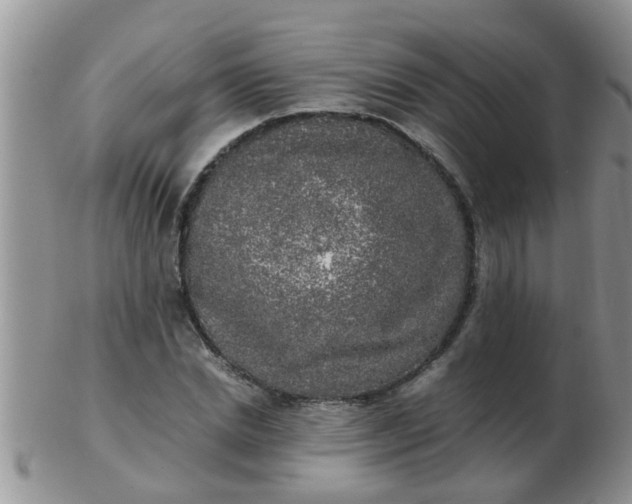 X0000103310830200809122050