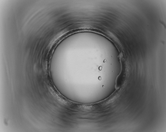 X0000103310831200809122050