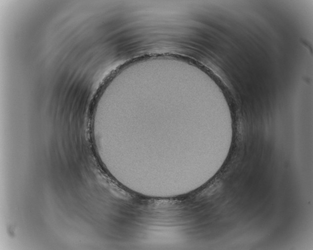 X0000103310832200809122050