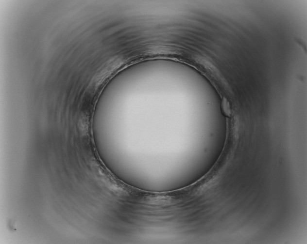 X0000103310833200809122050