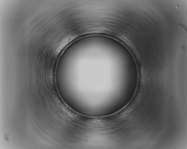 X0000103310834200809122050