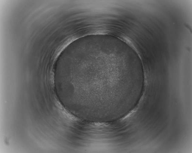 X0000103310835200809122050