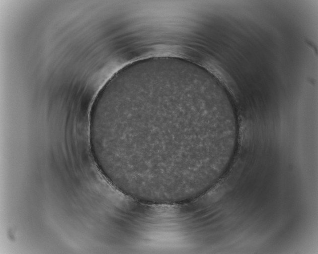 X0000103310836200809122050