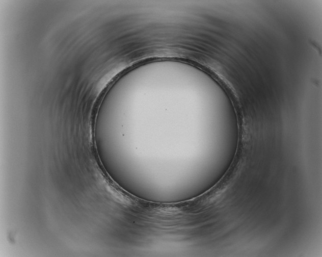 X0000103310837200809122050