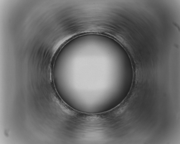 X0000103310838200809122050