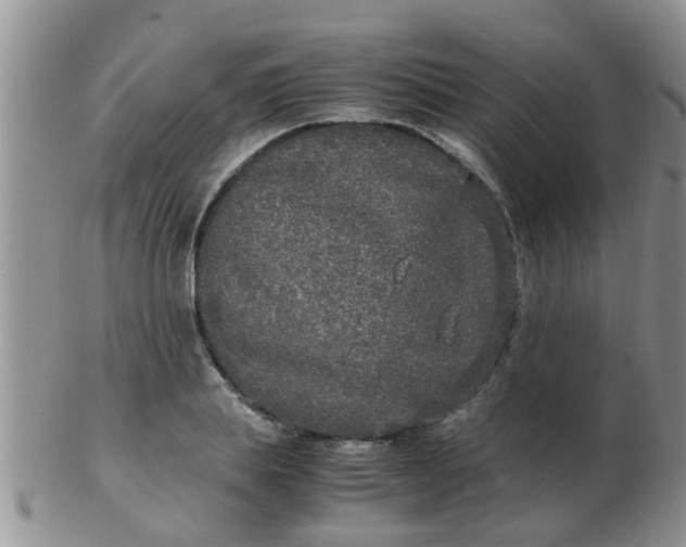 X0000103310839200809122050