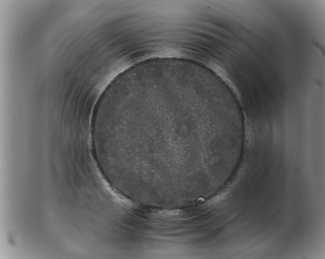 X0000103310845200809122050