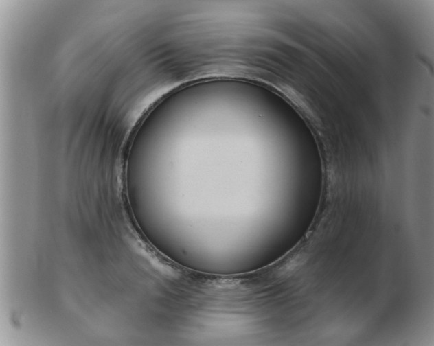 X0000103310846200809122050