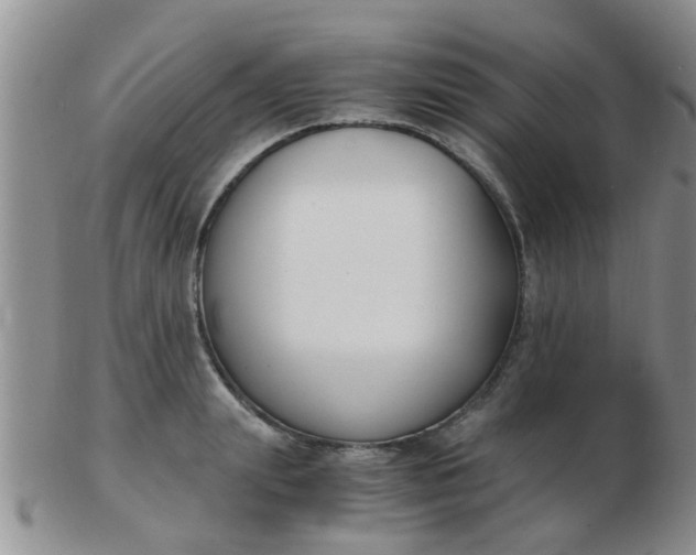 X0000103310847200809122050