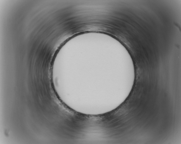 X0000103310848200809122050