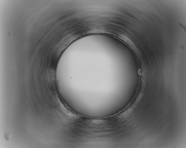 X0000103310849200809122050