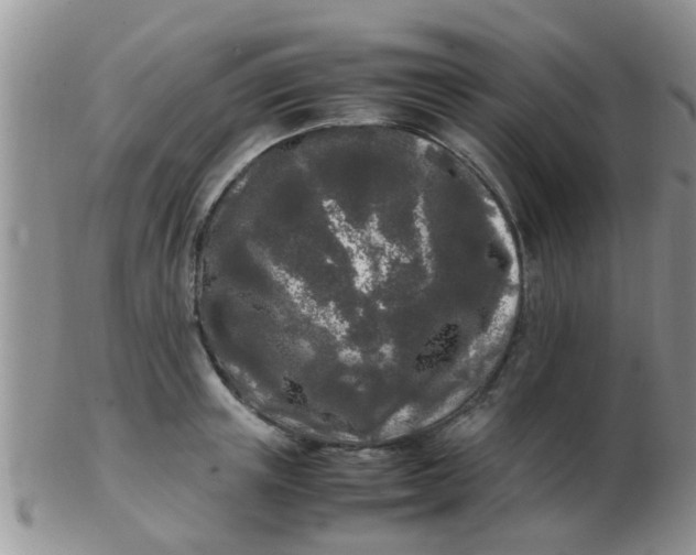 X0000103310851200809122050