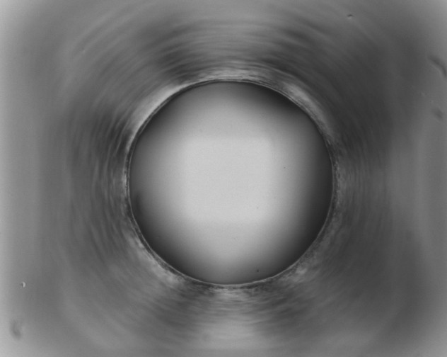 X0000103310852200809122050
