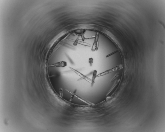 X0000103310853200809122050