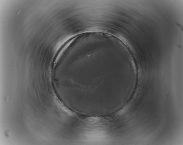 X0000103310854200809122050