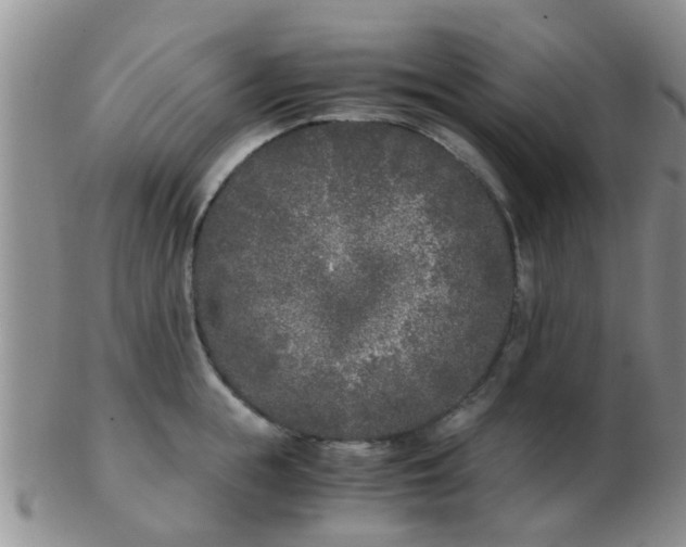 X0000103310855200809122050