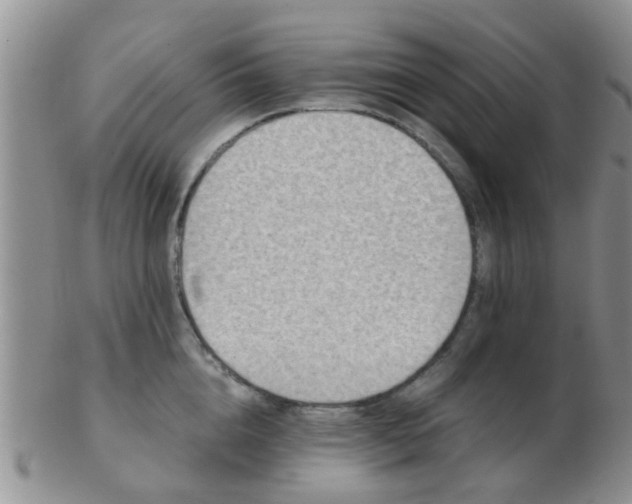 X0000103310856200809122050