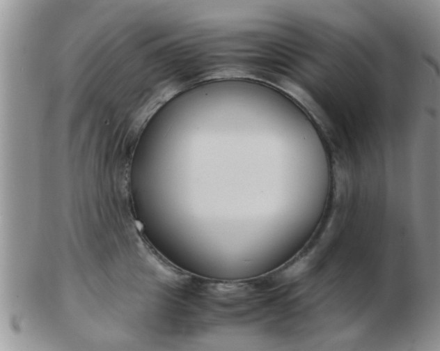 X0000103310857200809122050