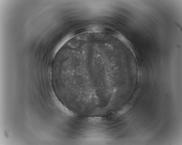 X0000103310859200809122050