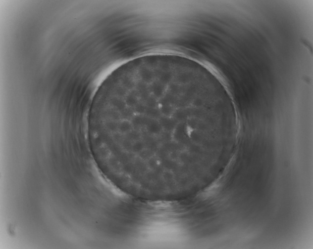 X0000103310862200809122050