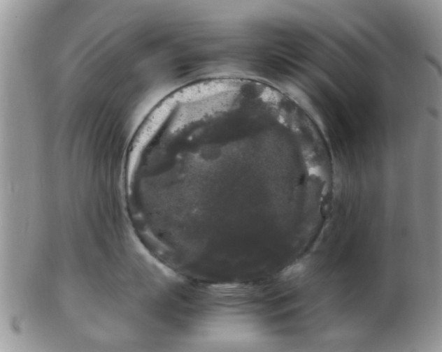 X0000103310863200809122050