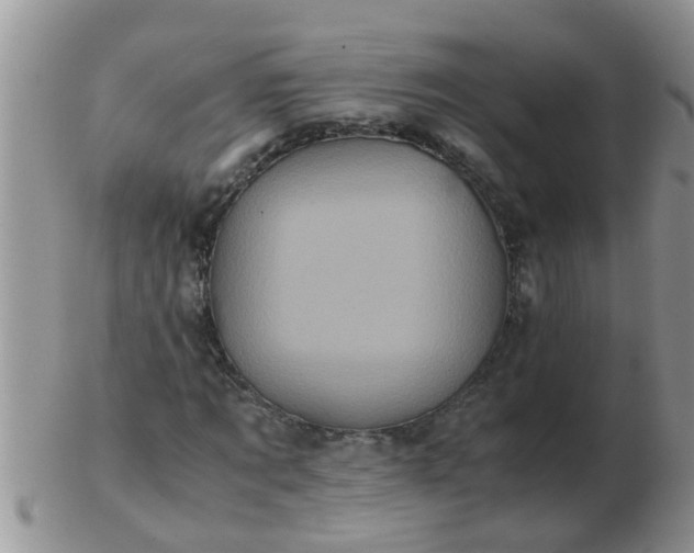 X0000103310869200809122049