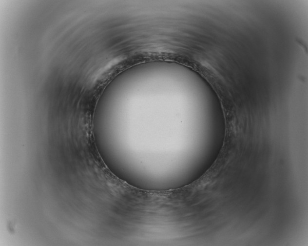 X0000103310870200809122049