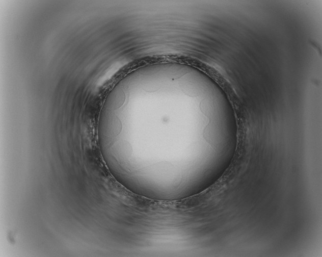 X0000103310871200809122049