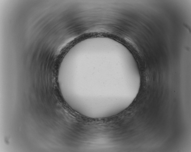 X0000103310872200809122049
