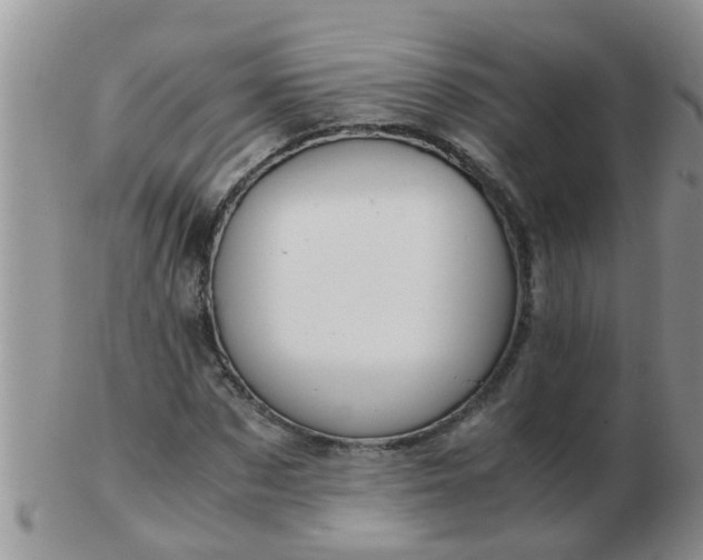 X0000103310873200809122049