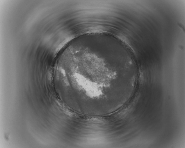 X0000103310874200809122049