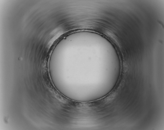 X0000103310875200809122049