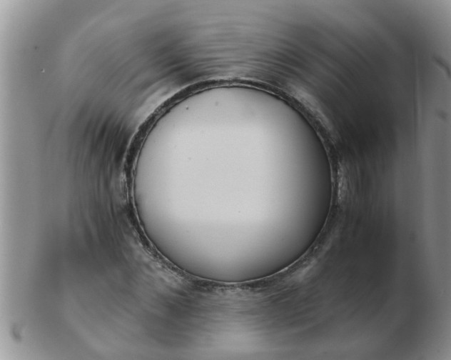X0000103310876200809122049