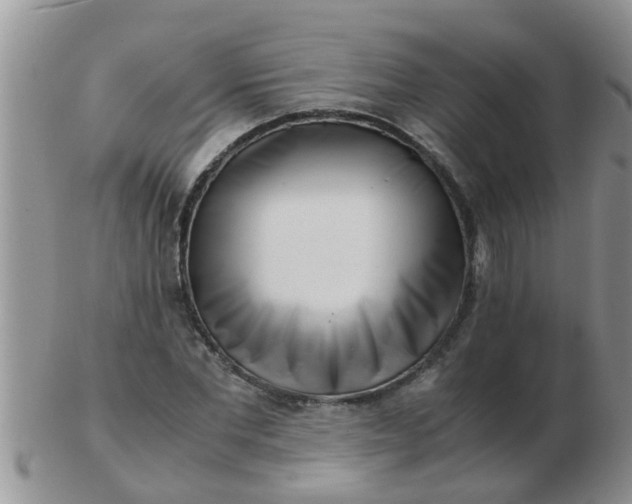 X0000103310877200809122049
