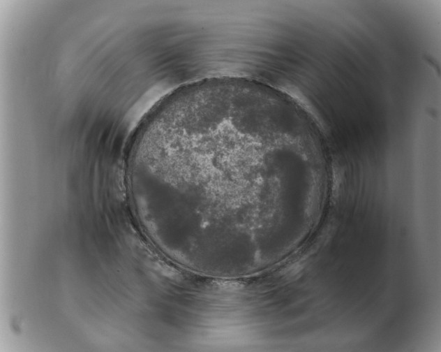 X0000103310878200809122049
