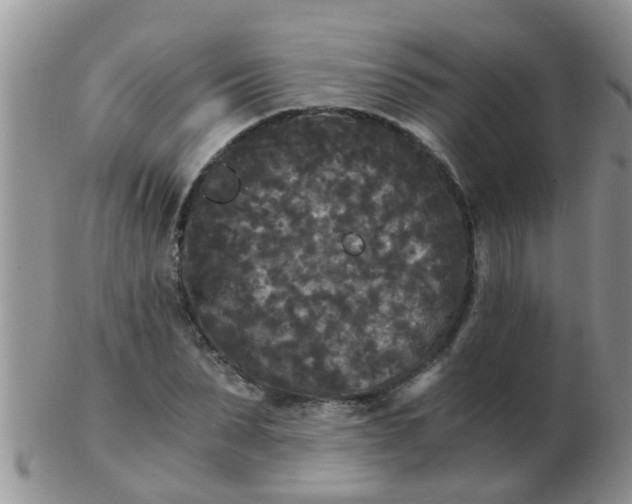 X0000103310879200809122049