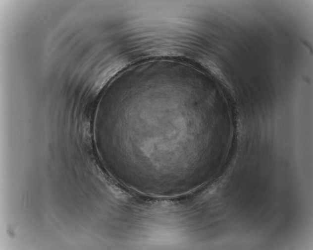 X0000103310881200809122049
