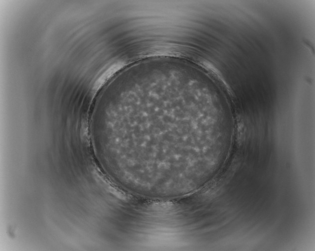 X0000103310882200809122049